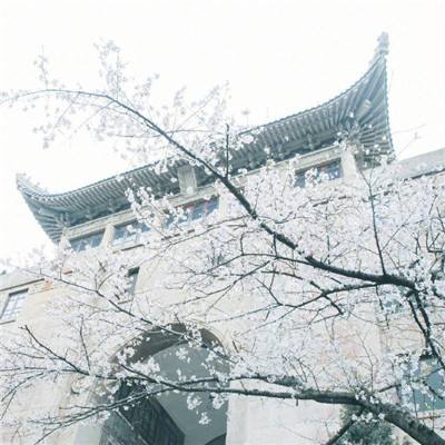 十四届上海市政协原常委鲍炳章严重违纪违法被开除党籍和公职